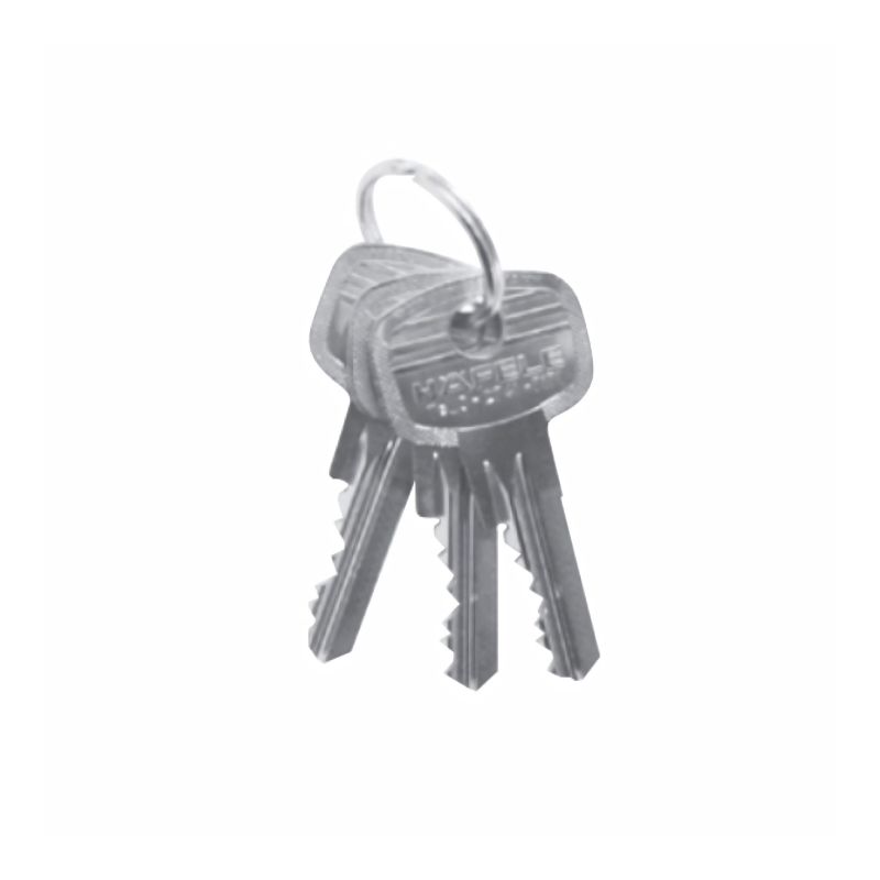 Chìa khóa Hafele 916.66.553 master key EM 6 pin