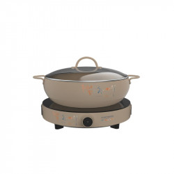 Bếp từ đơn Hawonkoo CEH-101-I-CF