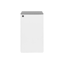 Máy hút ẩm Sharp DW-T30FV-W