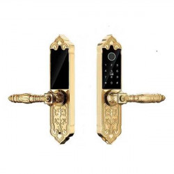 Khóa điện tử Hubert HB DS79 Gold Mini