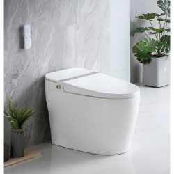Bồn cầu Bello BT-20201E