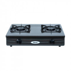 Bếp gas Rinnai RV-360(GM)N