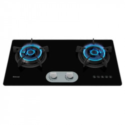 Bếp gas Rinnai RVB-220G(BG)