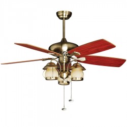 Quạt trần Mountain Air 48YFT-1025